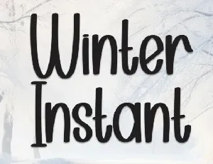 Winter Instant Display font