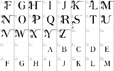 The Witches Serif font