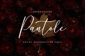 Pantole font