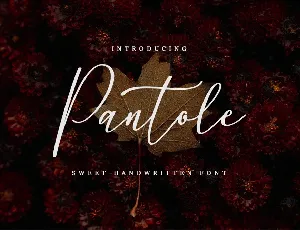 Pantole font