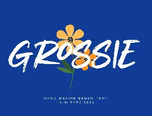 Grossie font