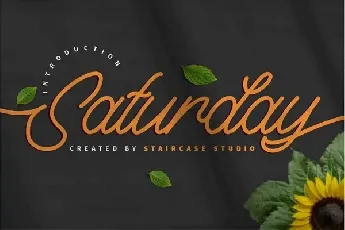 Saturday Monoline Script font