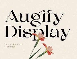 Augify Display font