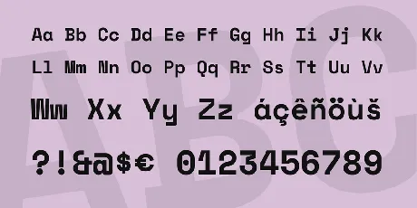 Space Mono font