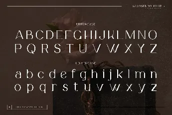 Salosendo Personal Use font