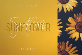 Sunflower Typeface font