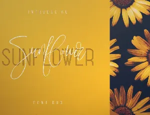 Sunflower Typeface font