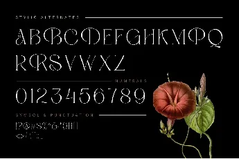 Beauty Luxury font