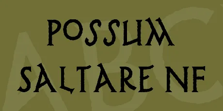 Possum Saltare NF font