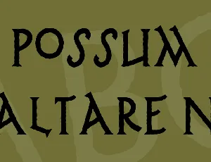 Possum Saltare NF font