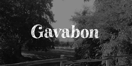 Gavabon font