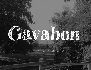 Gavabon font