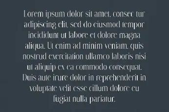 Maxon font