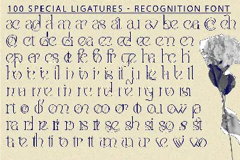 recognition demo font