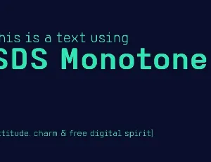 SDS Monotone font