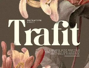 Trafit font