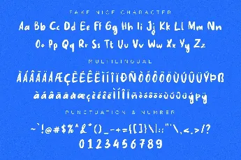 Fake Nice Demo Version font