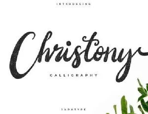 Christony Bold Script font