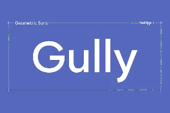 Gully Sans Typeface font