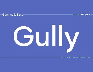 Gully Sans Typeface font