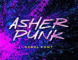Asher Punk Demo Version font