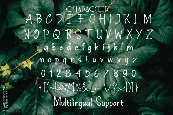 Anadyrsky font