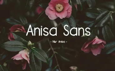 Anisa Sans Serif font