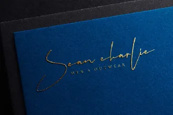 Favorite Signature font