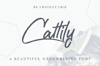 Cattily Demo font