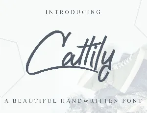 Cattily Demo font