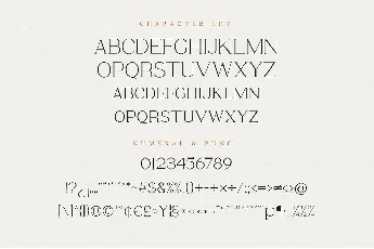 Bervina Stylish Serif font