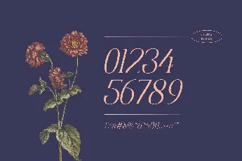 Quirky Fashion font