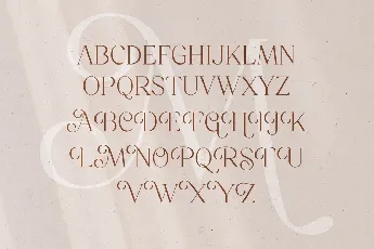 Mitchaella Unique Luxury Serif Typeface font