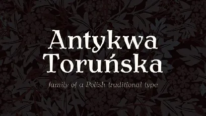 Antykwa Torunska Serif Family font