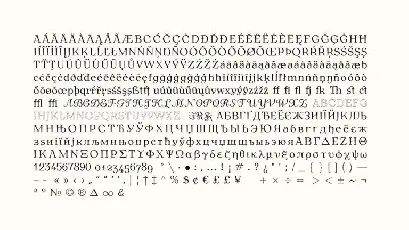 Antykwa Torunska Serif Family font