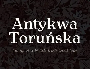 Antykwa Torunska Serif Family font