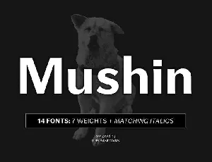 Mushin font