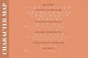 Chamelia Blinkar font