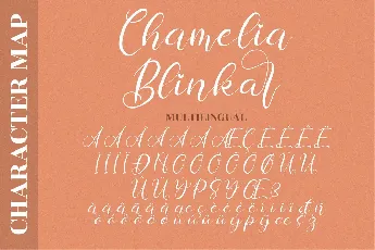 Chamelia Blinkar font