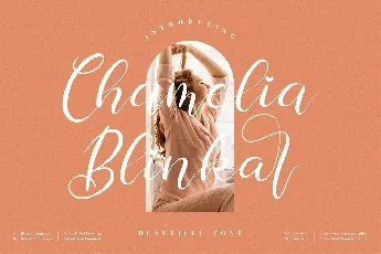 Chamelia Blinkar font