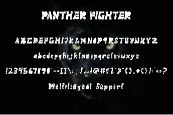 Panther Fighter font