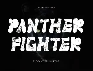 Panther Fighter font