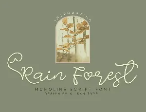 Rain Forest font