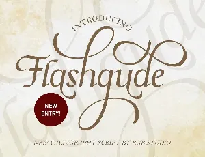 Flashgude font