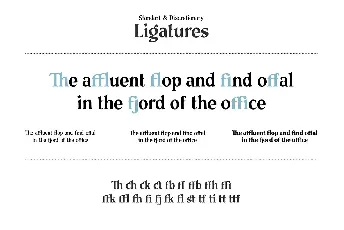 The Telegraph font