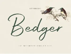 Bedger demo font