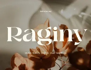 Raginy Serif font