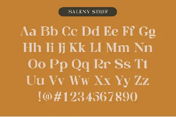 Baleny Serif Free font