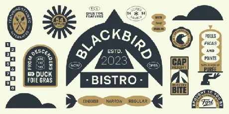 Blackbird Family font