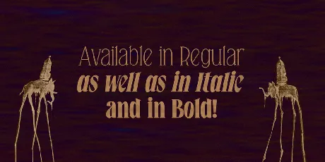 Falkin Serif font